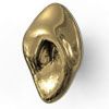 PVD POLISHED LUXURY GOLD